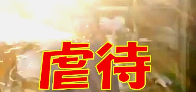 花火を同僚にくわえさせて点火、血まみれに！虐待動画を自慢した男が炎上 | 探偵Watch（探偵ウォッチ）