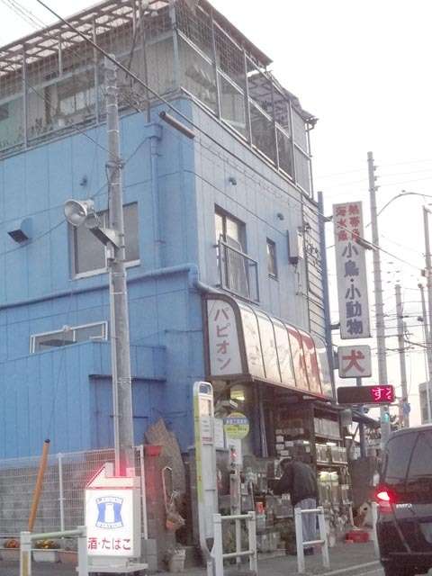 東京都昭島市のペットショップ・パピオン｜しっぽのブログ