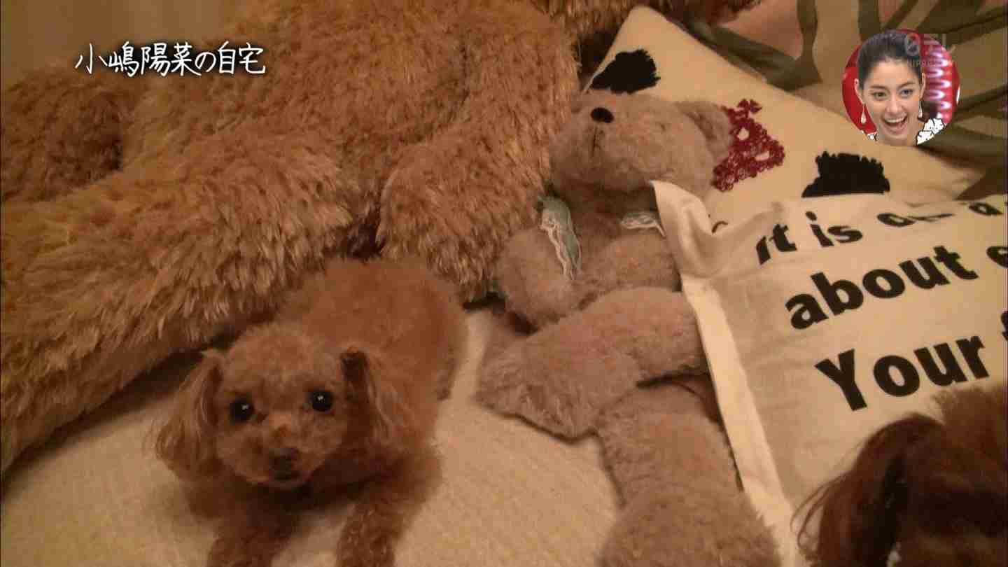 億ションを1人2部屋以上…嵐メンバーの高級すぎる住宅事情