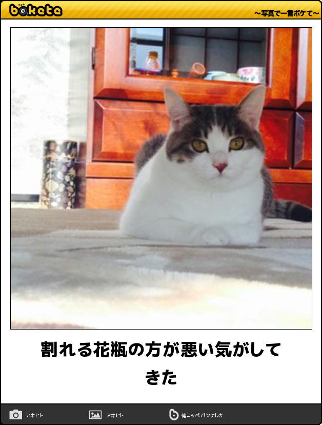 愛猫目線で書き込むトピ