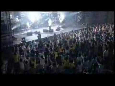 Spitz - 8823 - YouTube