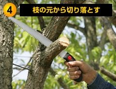 浮気された時どうやって立ち直りましたか？