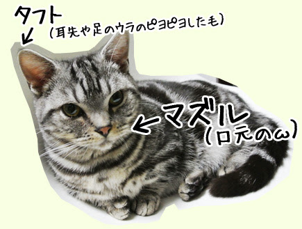 歌うま芸能人