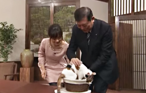 政治家で誰が好きですか？