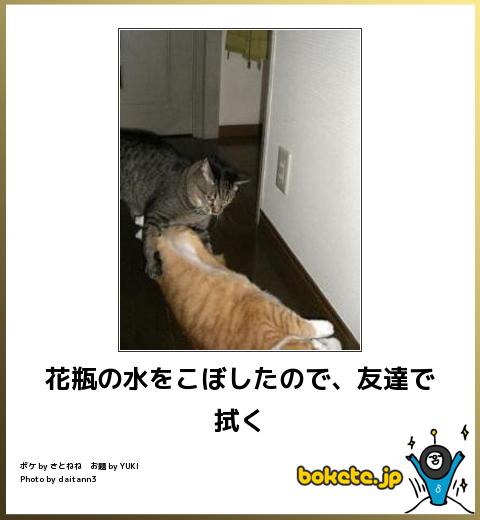 愛猫目線で書き込むトピ