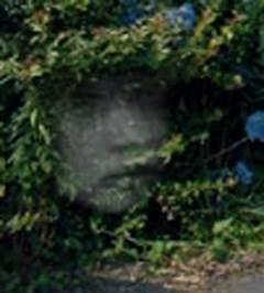 心霊写真みたいに見える画像