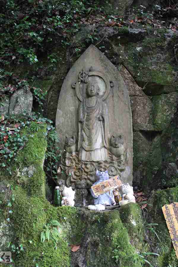 意外と良く合う。仏像と猫のツーショット光景「仏猫」