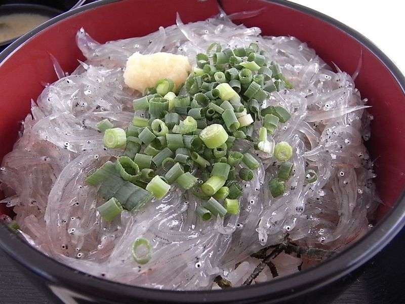 並んででも食べたいお店教えて