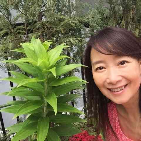 芸能人がブログやツイッターに投稿した、お気に入りの画像