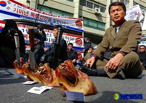 真面目に韓国考察（資料編）