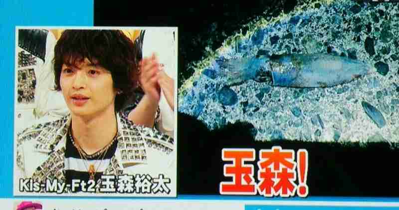 ダウンタウン松本人志、Kis-My-Ft2の玉森裕太をイジる「見た目はダイオウイカ」
