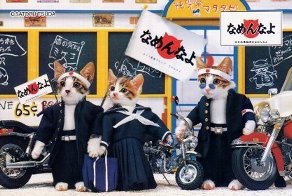 見た目で損している人、得している人