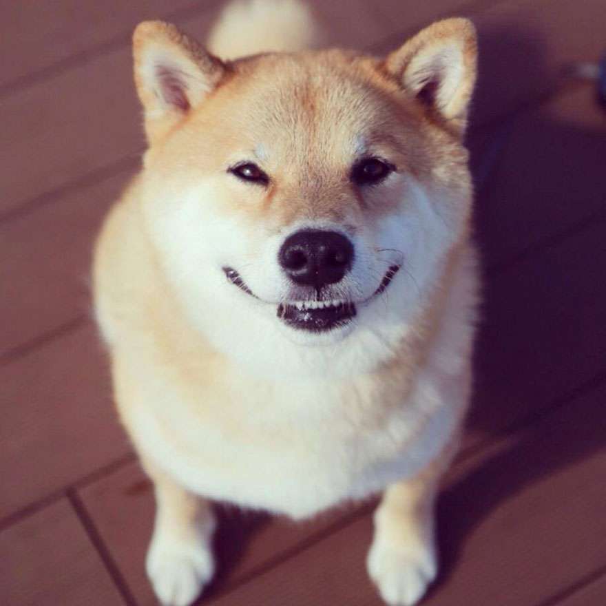 感傷にひたるトピ