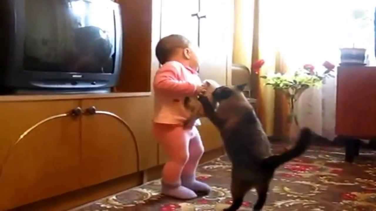 赤ちゃんから子猫を取りかえす親猫 - YouTube