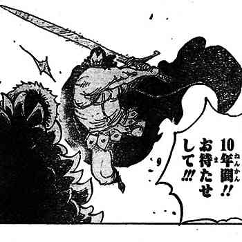 「ONE PIECE」の好きなキャラクター