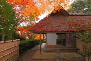 お気に入りのお寺、神社はありますか