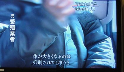 あなたの愛犬の犬種は何ですか?なぜその犬種にしましたか?