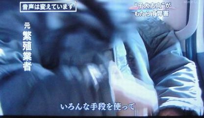 あなたの愛犬の犬種は何ですか?なぜその犬種にしましたか?