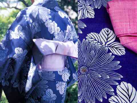 今年はどんな浴衣きますか?
