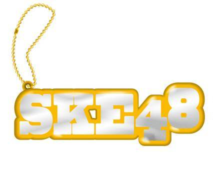 握手券や写真欲しさにSKE48のCD買いまくる→お金無くなり窃盗事件起こす