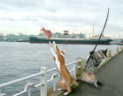 釣りが好きな人！