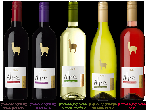 ワイン好きな人ー♡