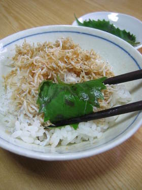 1人で食べる、満足ご飯！オカズは？