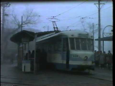 サントリー　烏龍茶