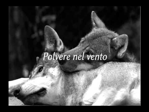 Dust in the wind - Kansas _ Tradotto - YouTube