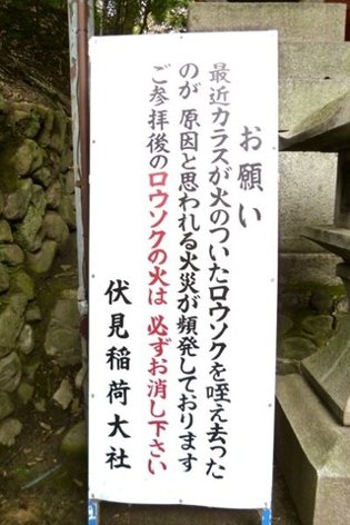 伏見稲荷大社の連続ボヤ騒ぎ 犯人はカラス!?