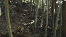 伏見稲荷大社の連続ボヤ騒ぎ 犯人はカラス!?