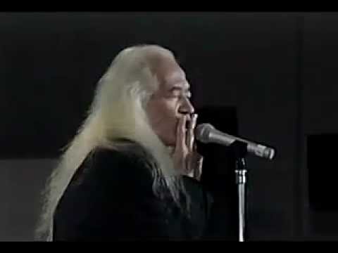peronna (annotation) - YouTube