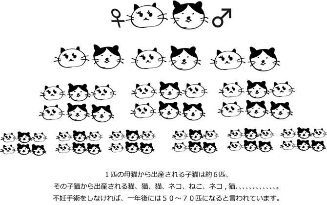 「100匹以上殺した」…飼い猫虐待:水に沈め殺した容疑　72歳女逮捕