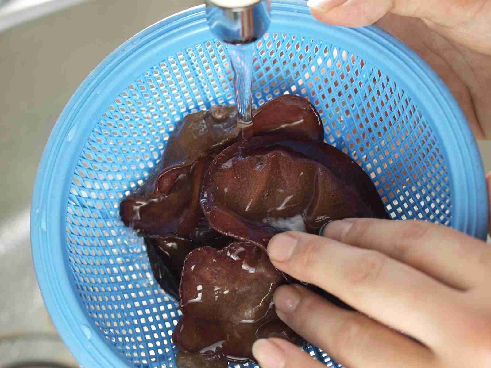 キノコは洗う＆洗わない？キノコ屋の大命題ついに決着！生産者アンケートの結果は75パーセントが◎◎◎！ | きのこのじかん