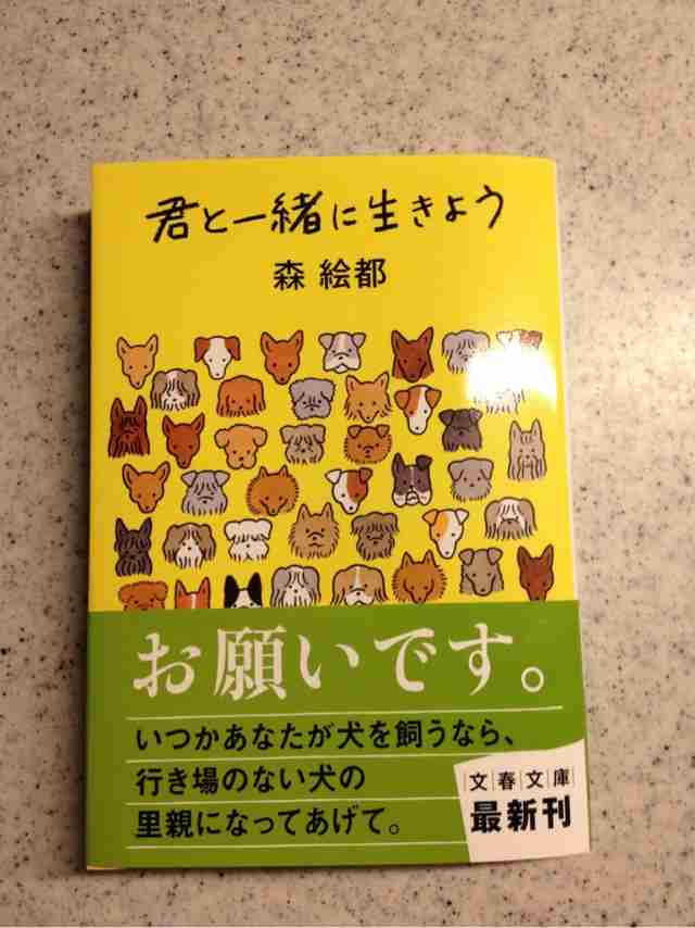 泣ける映画や本 話を教えて