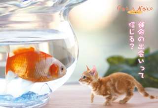 運命の人だと思ったのに違った人いますか？