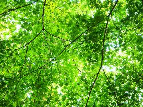 疲れた時に癒される曲