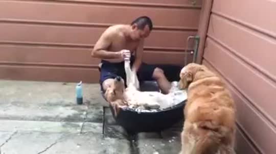ゆる〜い画像を貼るトピ