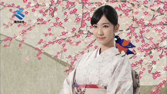 AKB48柏木由紀、NMB解任→NGT兼任へ「鹿児島出身なのに…」