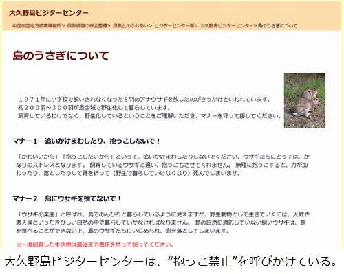 とくダネのウサギ島VTRに批判、禁止行為“抱っこ”する外国人の映像。 | Narinari.com
