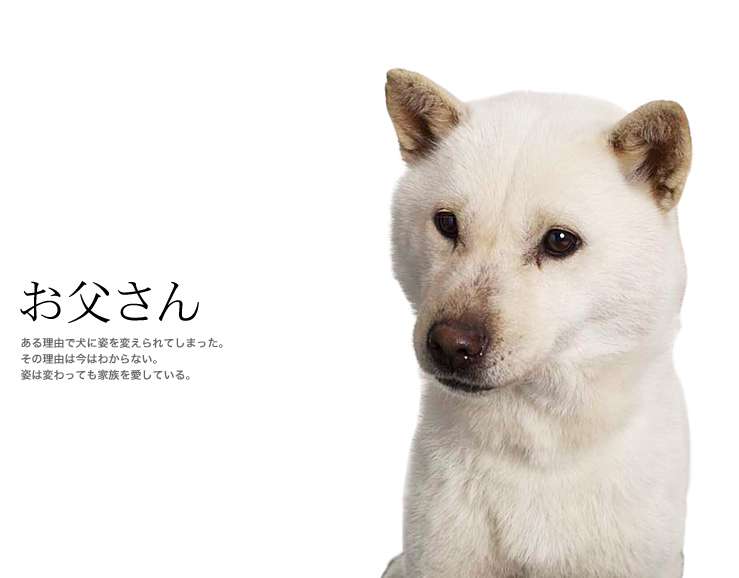 【有名人の知名度調査】名前が分かればプラス、分からなければマイナス