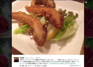 初めて聞いたとき衝撃を受けた情報