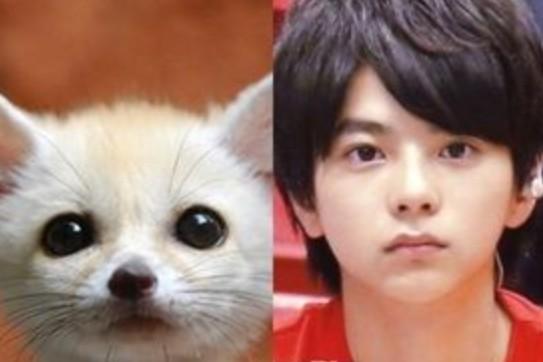 ジャニーズあるある