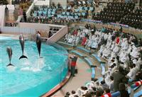 「追い込み漁で捕獲のイルカ入手」　日本動物園水族館協会の会員資格停止に - 産経WEST