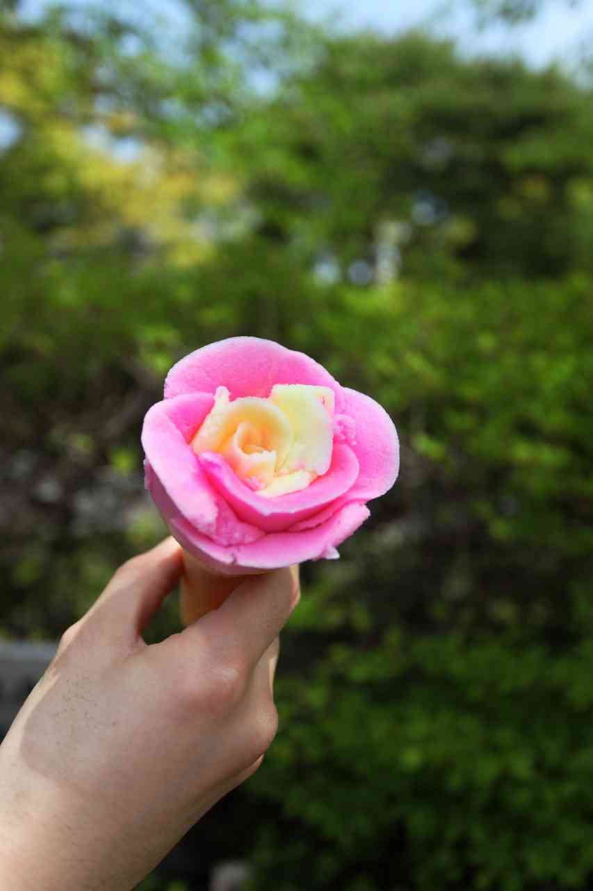 ❁花モチーフの食べ物❁