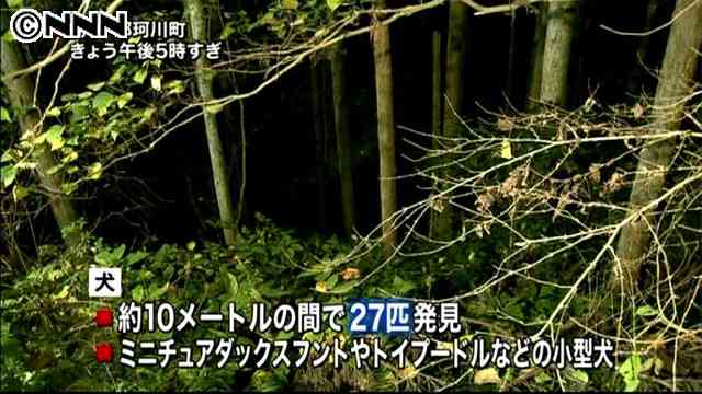また犬27匹の死骸、生きている犬も5匹発見…栃木県