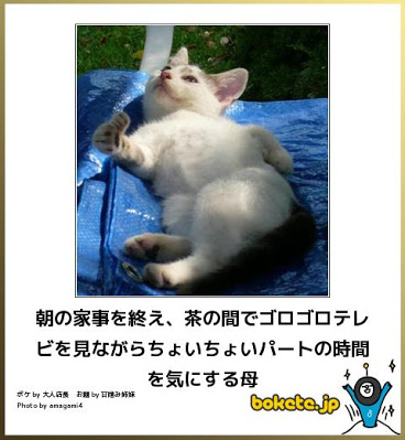 家事を効率良くこなすにはどうしたらいいですか?