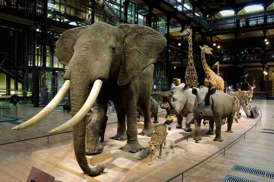 パリ旅行のオススメ