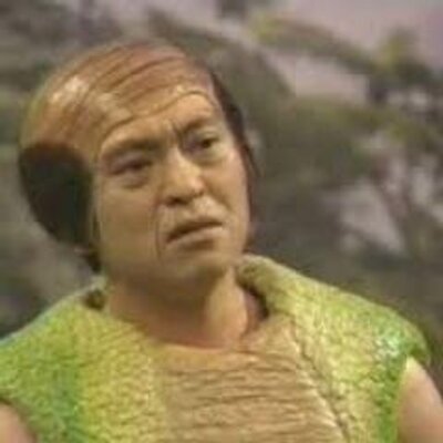 虫と戦ってる人！