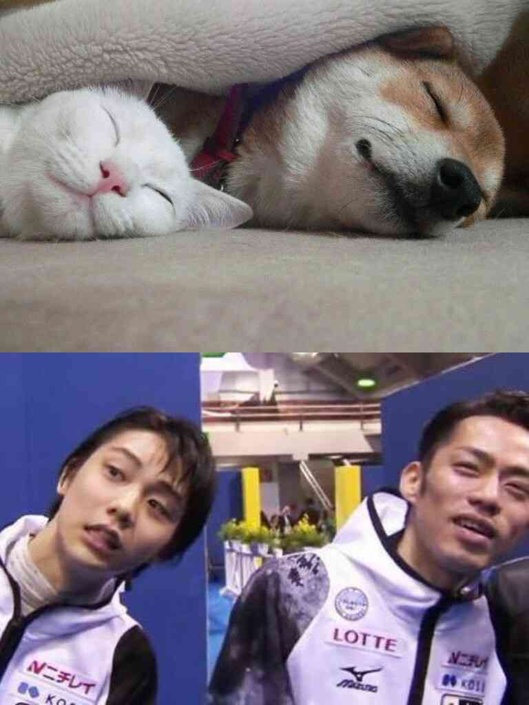 【今年に入ってから】なんとなく保存した画像。